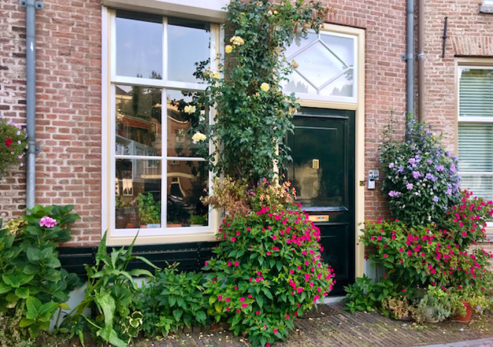 Foto 46 1000w