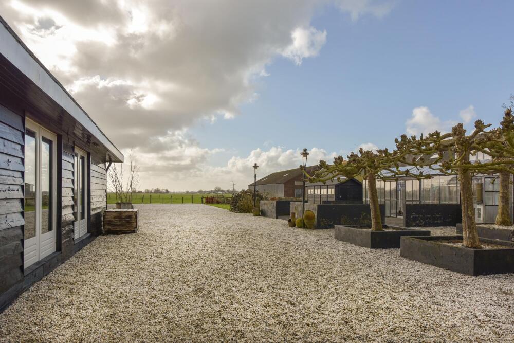 Foto 31 1000w