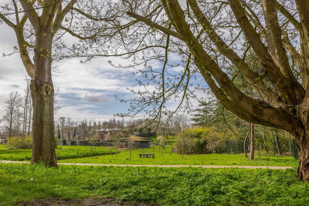 Foto 54 1000w