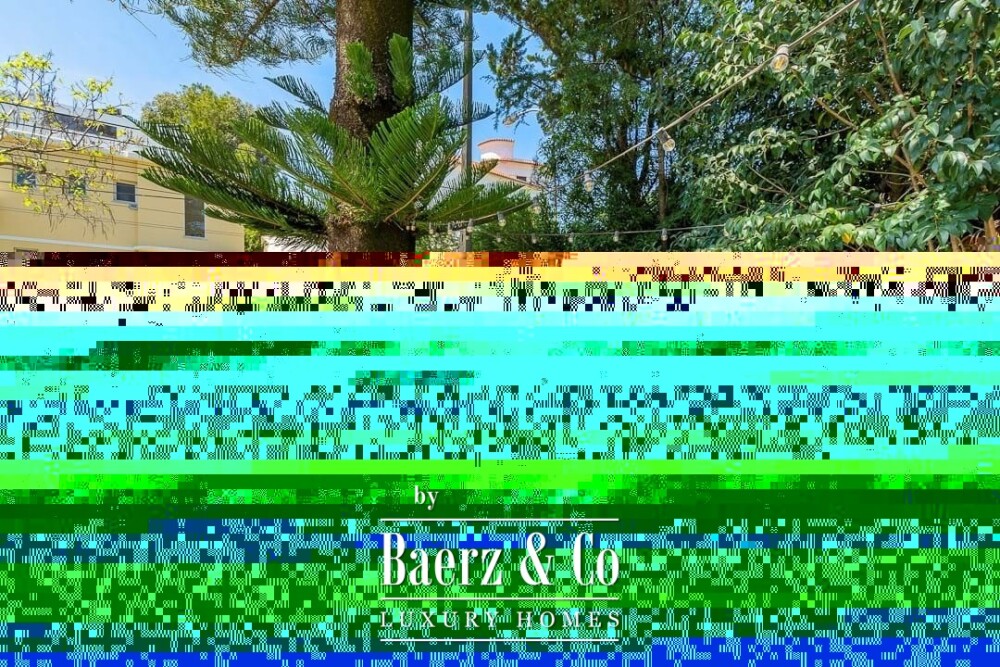 Foto 29 1000w