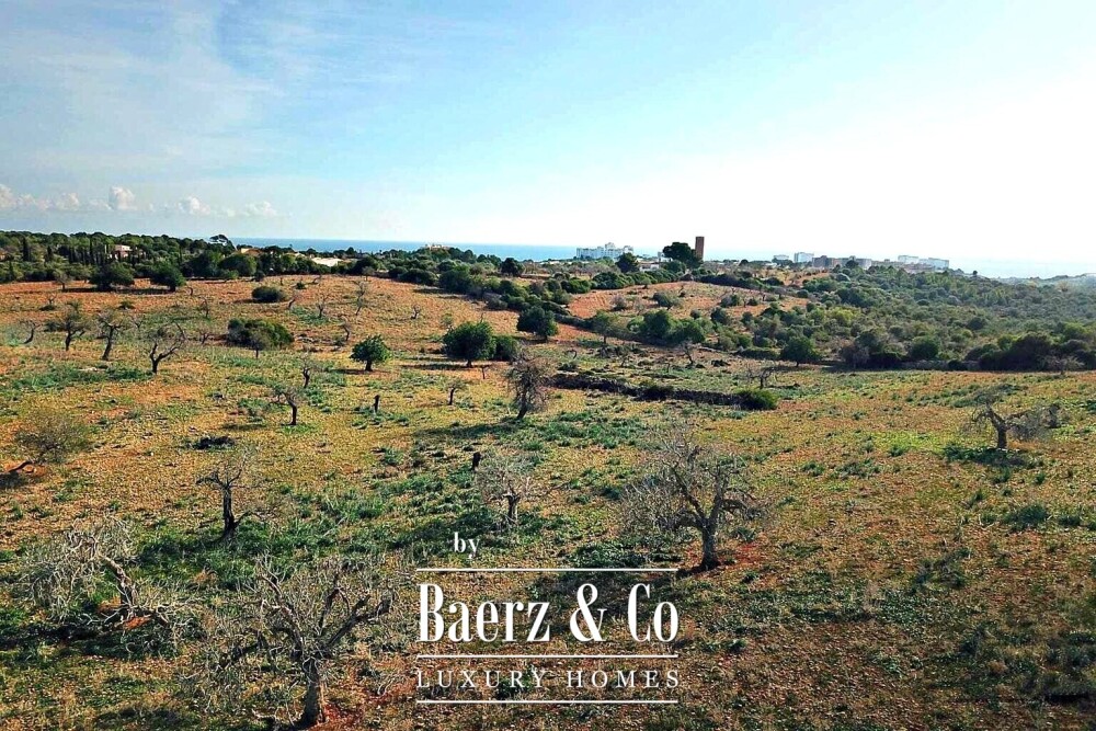 Beautiful luxury home in Manacor, Cala Murada image