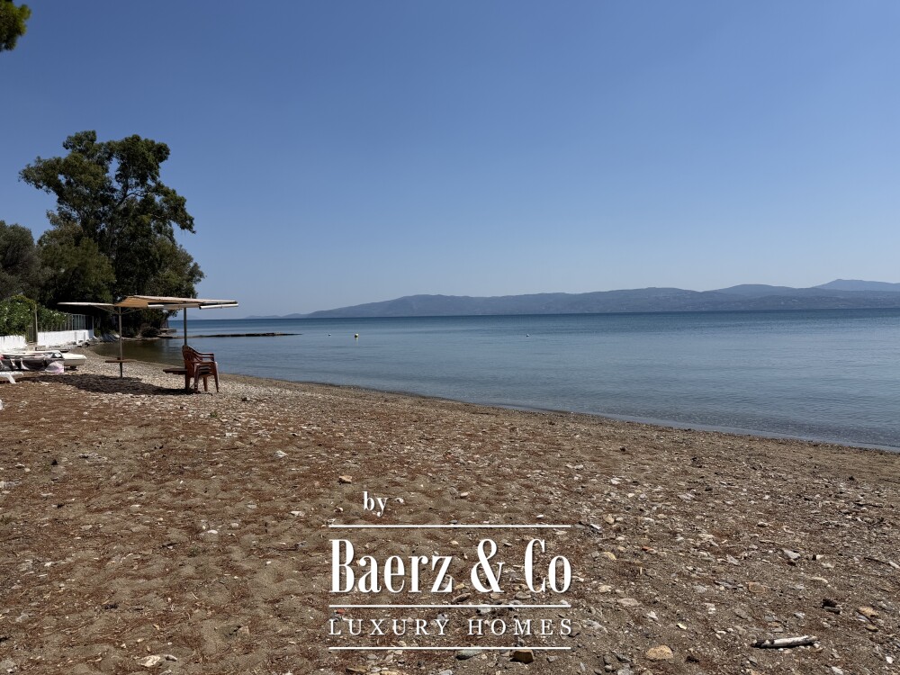 Foto 26 1000w