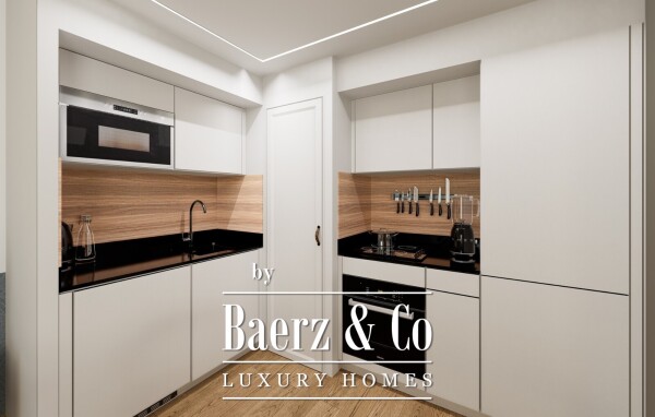 photo 4 One Bedroom apartment with Moutain View