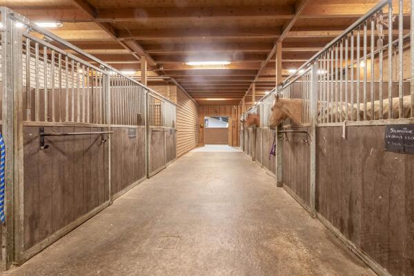 photo 25 Diepestraat 4