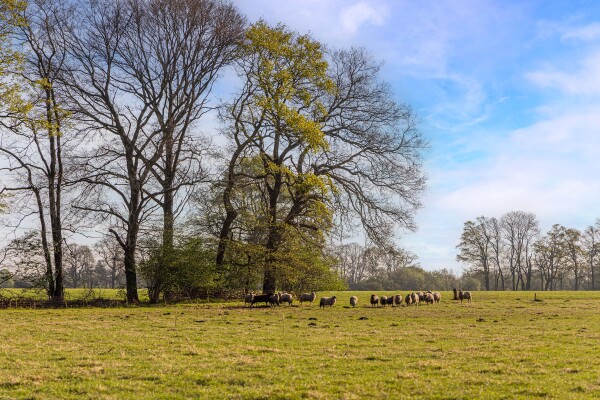 photo 11 Schoolkaterdijk 80