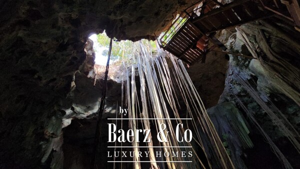 photo 53 18th Century Hacienda with Cenote and 403 acres!