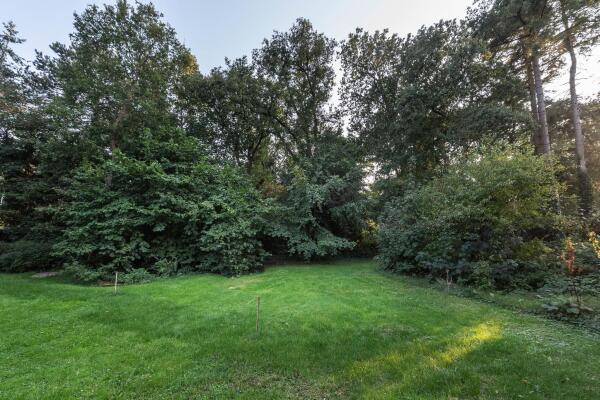 photo 5 Wikkelaan 0 ong