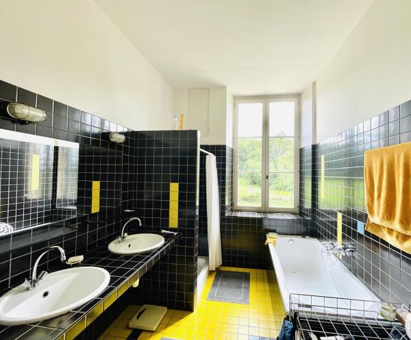 photo 19 Chateau de Faverolles 