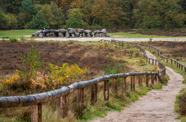 photo 13 Oldendiever 6