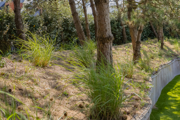 photo 37 Boerhaaveweg 30