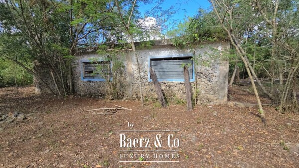 photo 10 Sagrado - Valladolid 