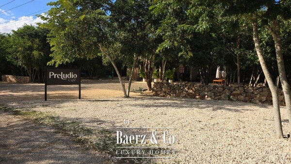 photo 37 Sagrado - Valladolid 