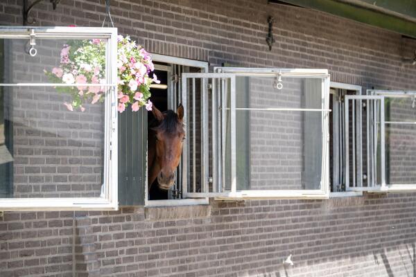 photo 69 Kapelstraat 12 14