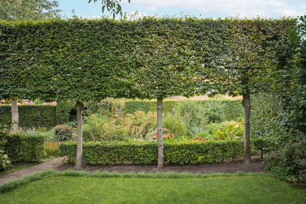 photo 55 Kamperfoeliestraat 23