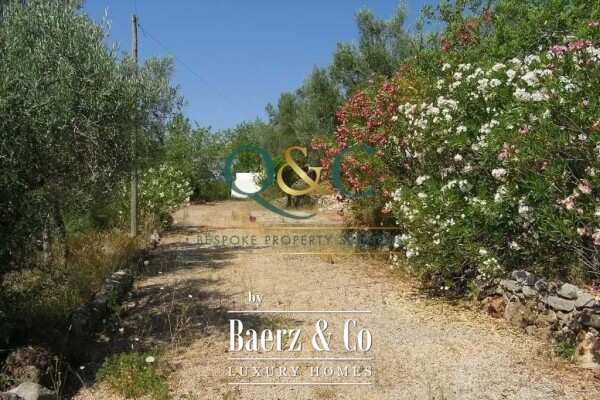 photo 17 Beautiful luxury home in Querença, Querença