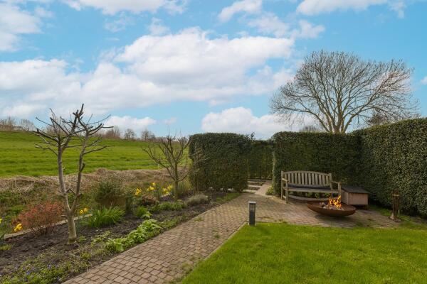 photo 44 Timotheegras 13