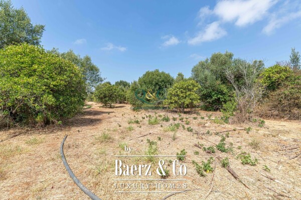 photo 21 Beautiful luxury home in Moncarapacho, Moncarapacho (Fuseta)