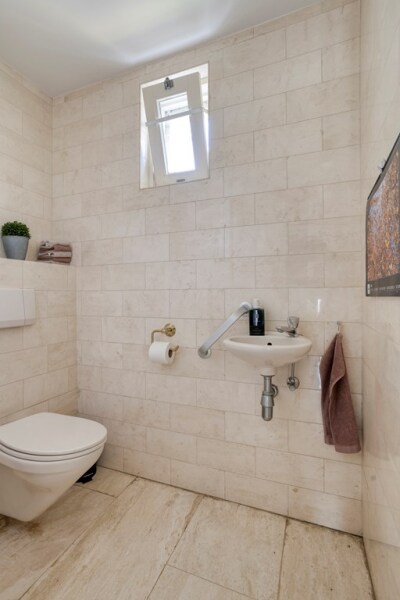 photo 37 Zilvermos 2