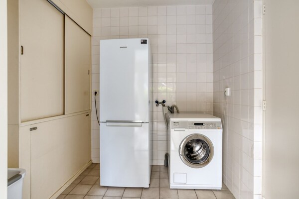 photo 41 Zilvermos 2