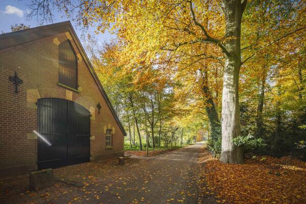 photo 70 Ehzerallee 8