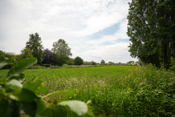 photo 63 Dorpsstraat 18