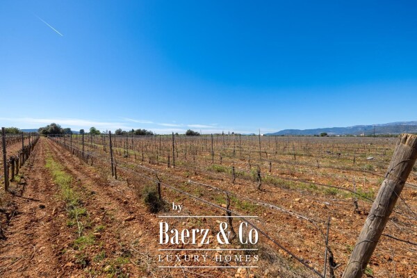 photo 24 Wine estate with holiday rental licence in Binissalem