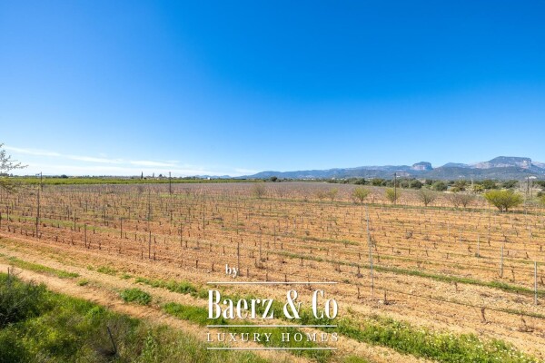 photo 28 Wine estate with holiday rental licence in Binissalem