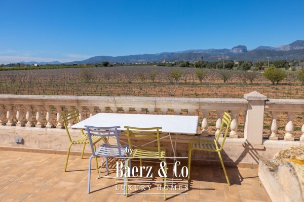 photo 30 Wine estate with holiday rental licence in Binissalem