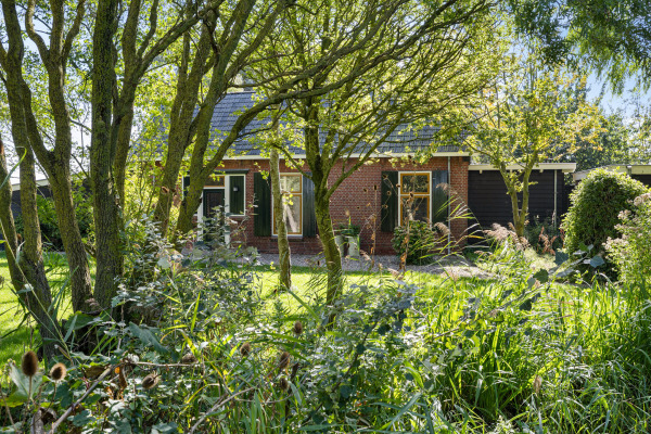 photo 9 Sedyk 5