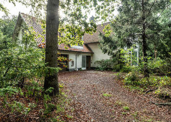 AERDENHOUT